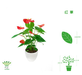 绿植租摆  租花(huā) 办公室绿植 办公室绿植租赁 办公室绿植出租